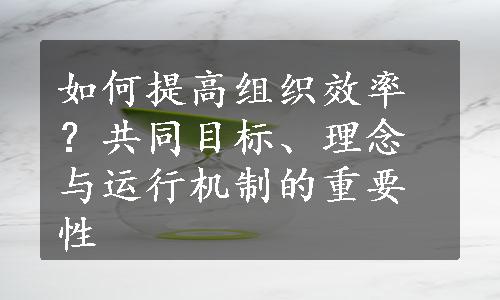 如何提高组织效率？共同目标、理念与运行机制的重要性