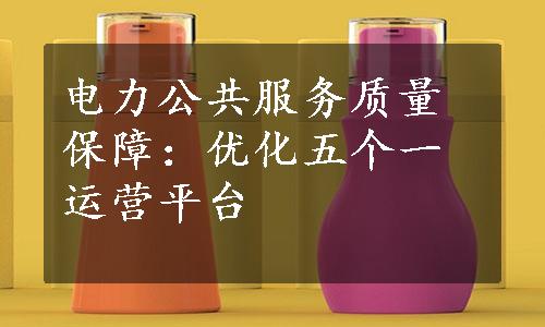 电力公共服务质量保障：优化五个一运营平台