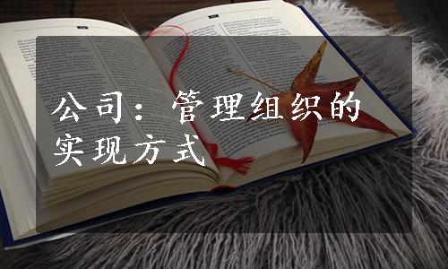 公司：管理组织的实现方式