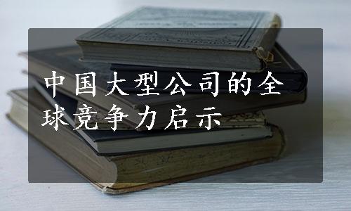 中国大型公司的全球竞争力启示