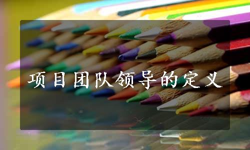 项目团队领导的定义