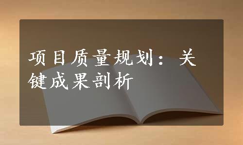 项目质量规划：关键成果剖析