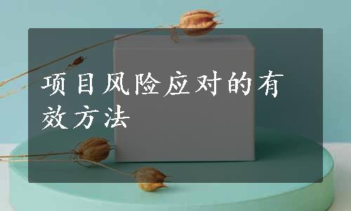 项目风险应对的有效方法