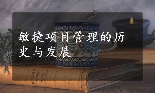 敏捷项目管理的历史与发展