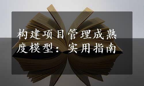 构建项目管理成熟度模型：实用指南