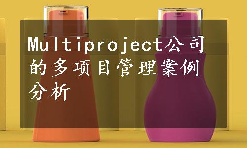 Multiproject公司的多项目管理案例分析