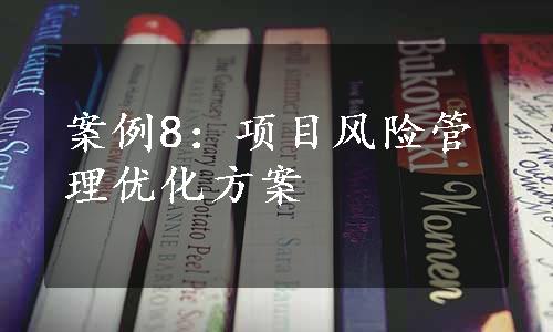 案例8：项目风险管理优化方案