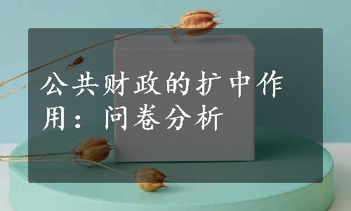 公共财政的扩中作用：问卷分析