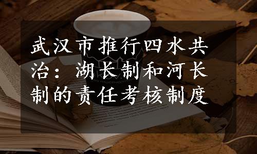 武汉市推行四水共治：湖长制和河长制的责任考核制度