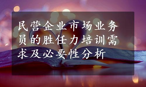 民营企业市场业务员的胜任力培训需求及必要性分析