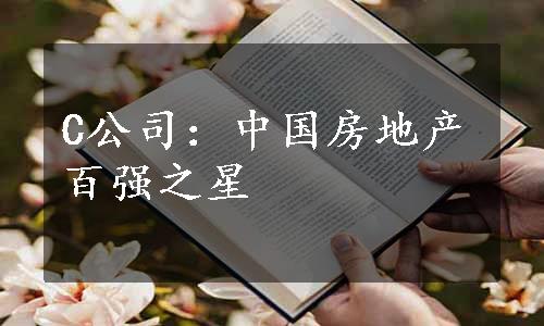 C公司：中国房地产百强之星