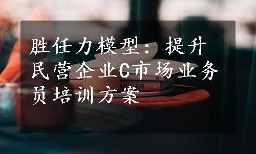 胜任力模型：提升民营企业C市场业务员培训方案