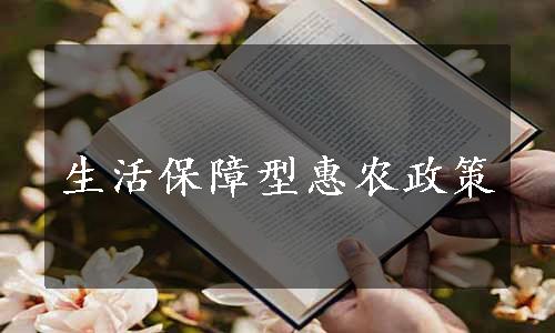 生活保障型惠农政策