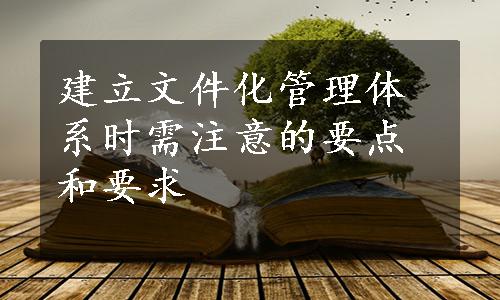 建立文件化管理体系时需注意的要点和要求