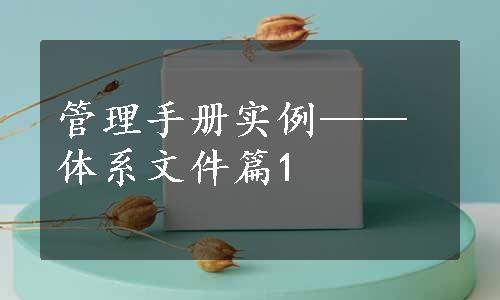 管理手册实例——体系文件篇1