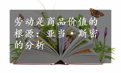 劳动是商品价值的根源：亚当·斯密的分析