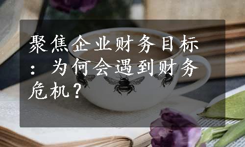 聚焦企业财务目标：为何会遇到财务危机？