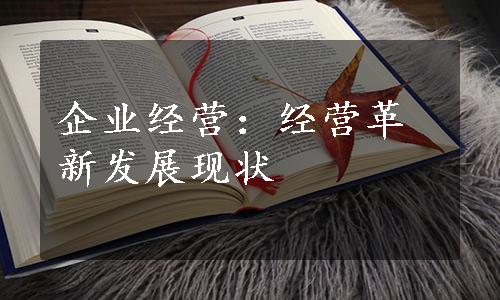 企业经营：经营革新发展现状