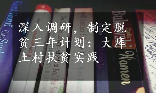 深入调研，制定脱贫三年计划：大库土村扶贫实践