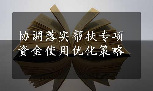 协调落实帮扶专项资金使用优化策略