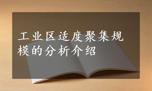 工业区适度聚集规模的分析介绍