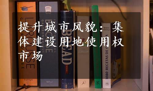 提升城市风貌：集体建设用地使用权市场