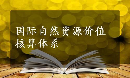 国际自然资源价值核算体系