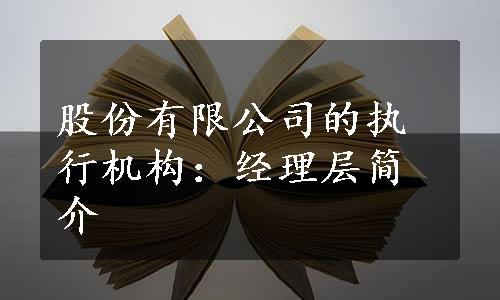 股份有限公司的执行机构：经理层简介