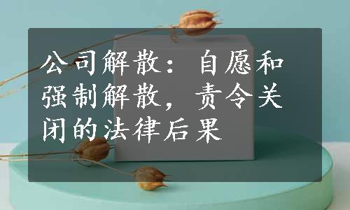 公司解散：自愿和强制解散，责令关闭的法律后果