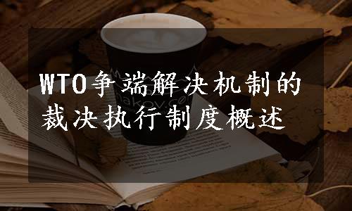 WTO争端解决机制的裁决执行制度概述