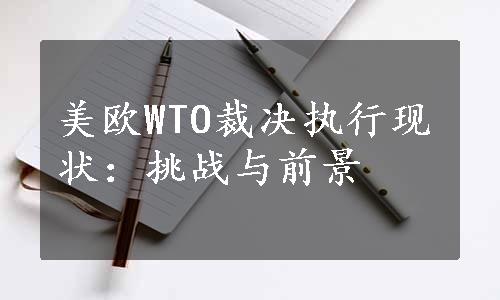 美欧WTO裁决执行现状：挑战与前景