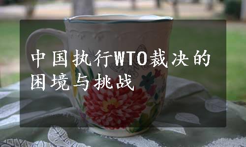 中国执行WTO裁决的困境与挑战