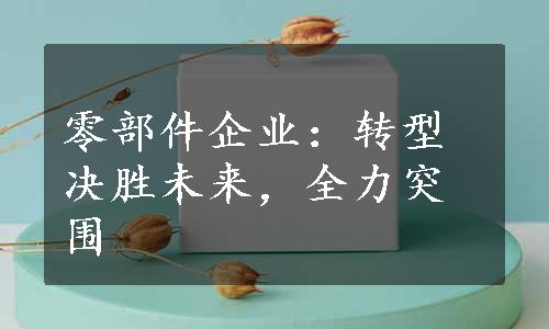 零部件企业：转型决胜未来，全力突围