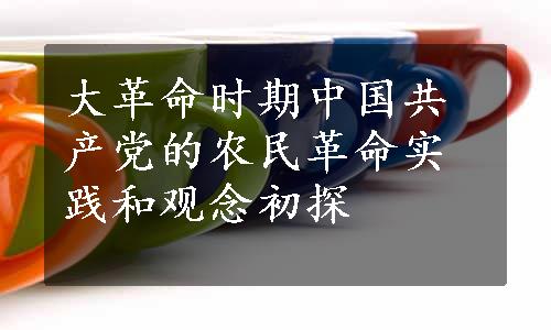 大革命时期中国共产党的农民革命实践和观念初探