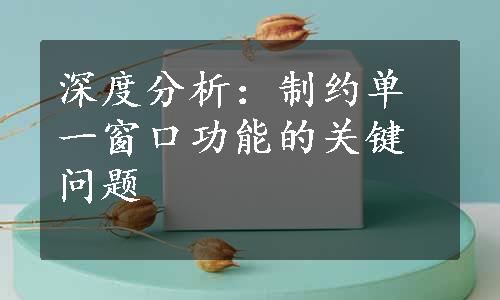 深度分析：制约单一窗口功能的关键问题