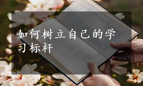 如何树立自己的学习标杆