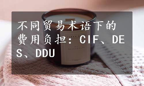 不同贸易术语下的费用负担：CIF、DES、DDU