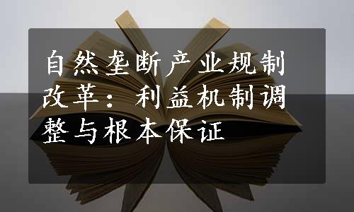 自然垄断产业规制改革：利益机制调整与根本保证