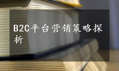 B2C平台营销策略探析