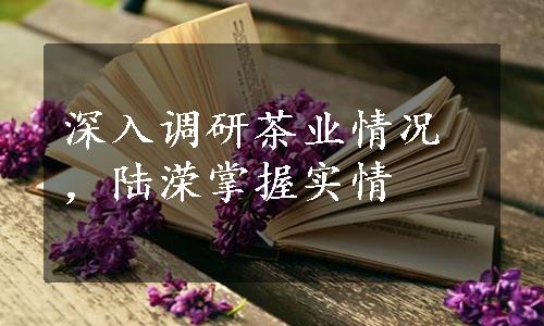 深入调研茶业情况，陆溁掌握实情