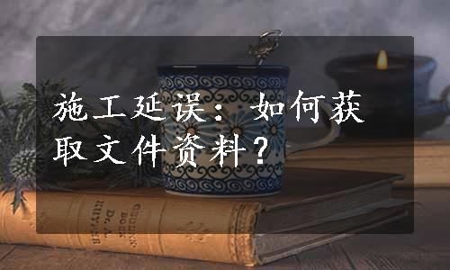 施工延误：如何获取文件资料？