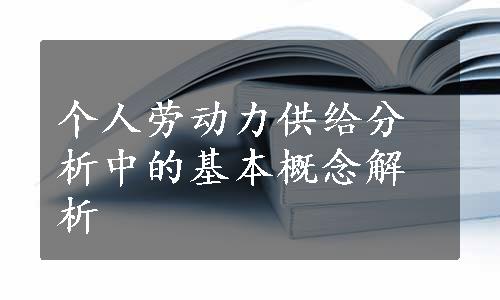 个人劳动力供给分析中的基本概念解析