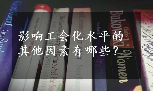 影响工会化水平的其他因素有哪些？