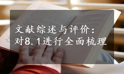 文献综述与评价：对8.1进行全面梳理