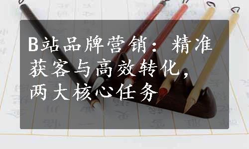 B站品牌营销：精准获客与高效转化，两大核心任务