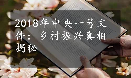 2018年中央一号文件：乡村振兴真相揭秘