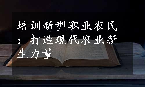 培训新型职业农民：打造现代农业新生力量