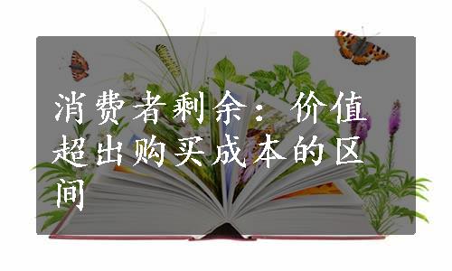 消费者剩余：价值超出购买成本的区间