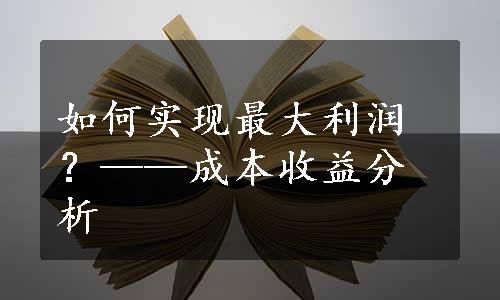 如何实现最大利润？——成本收益分析