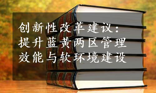 创新性改革建议：提升蓝黄两区管理效能与软环境建设